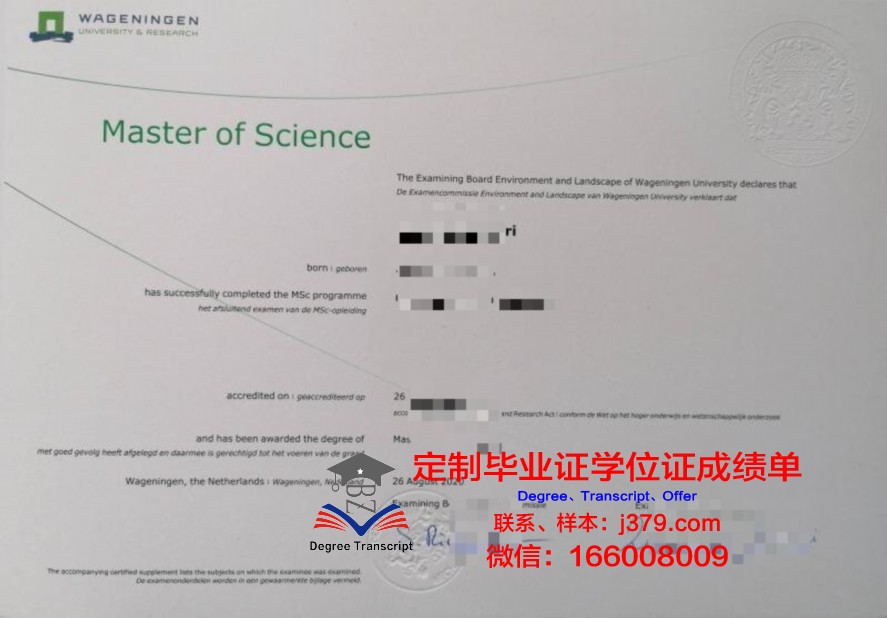 SB硕士毕业证：反思高等教育中的“水证”现象