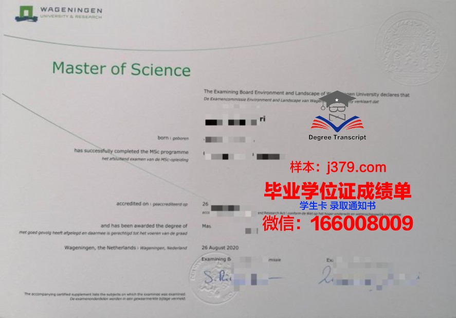 乌尔姆硕士毕业证：留学生活与学术成长的珍贵回忆