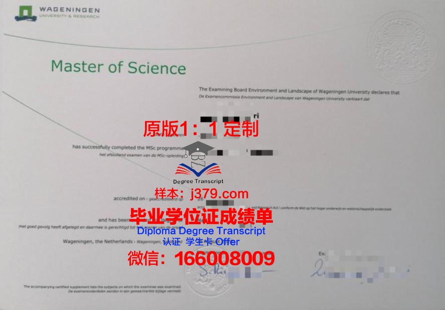 卑尔根毕业证样式演变历史回顾