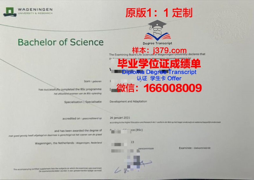 曼大本科证书助力职业发展之路