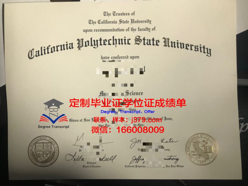 泗水理工Diploma证书课程设置与专业介绍
