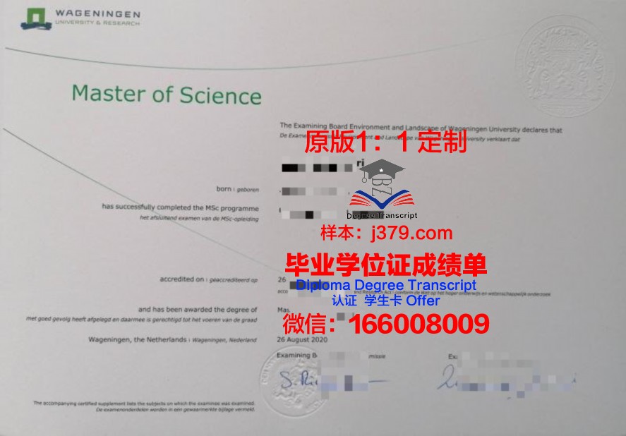 揭秘埼玉大学毕业证的申请流程