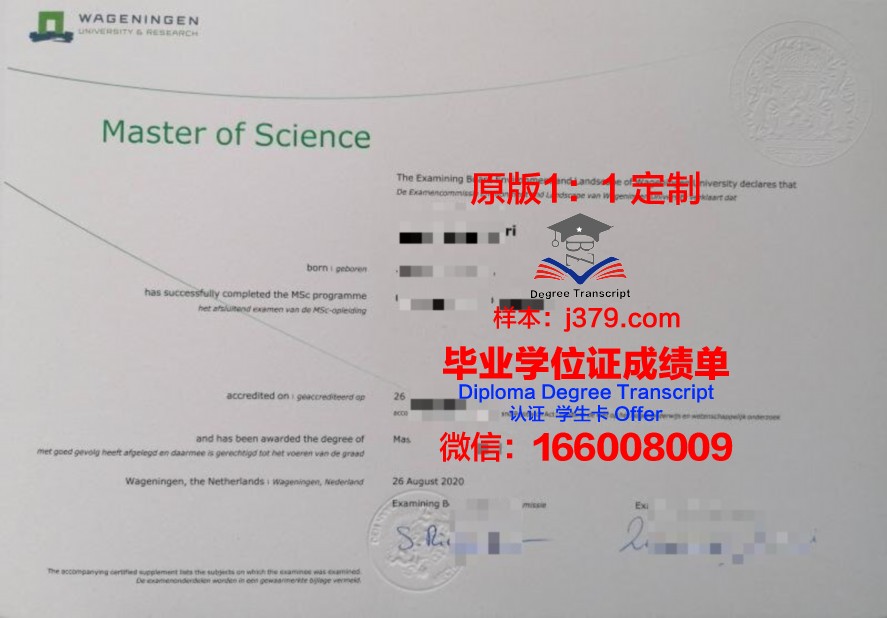 安基毕业证学历提升途径探讨