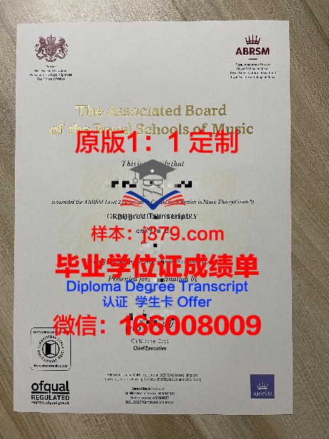 帝理研究生证书：职场竞争力提升之路