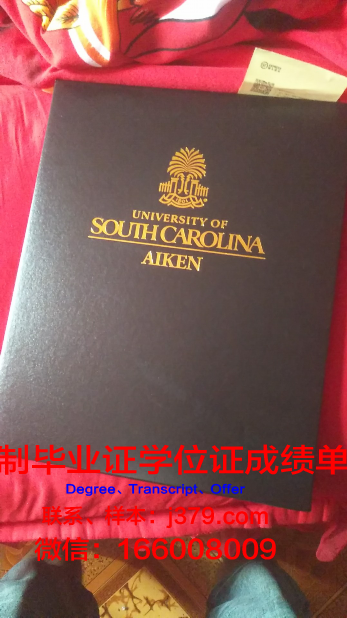 南卡大文凭：毕业生的就业前景分析