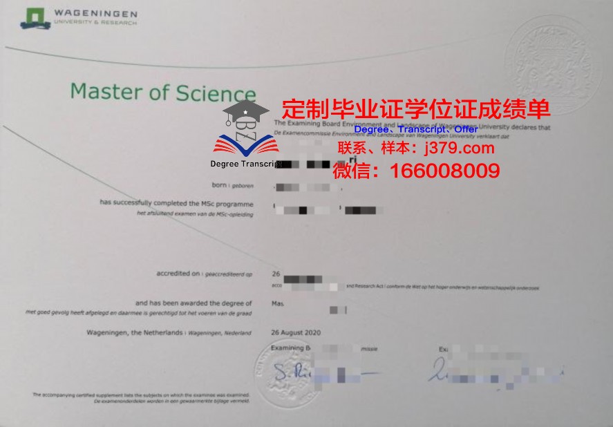 毕业证补办流程：帕茨大毕业生必备攻略