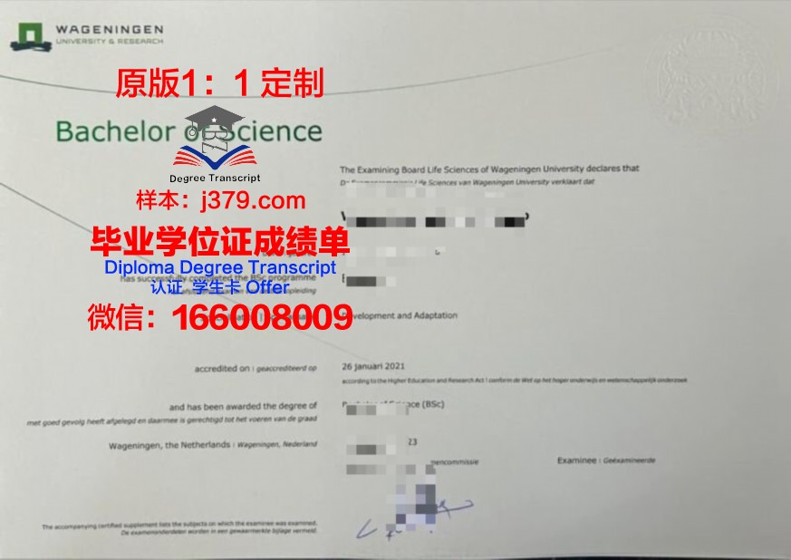 卡师本科证书培训课程推荐与选择