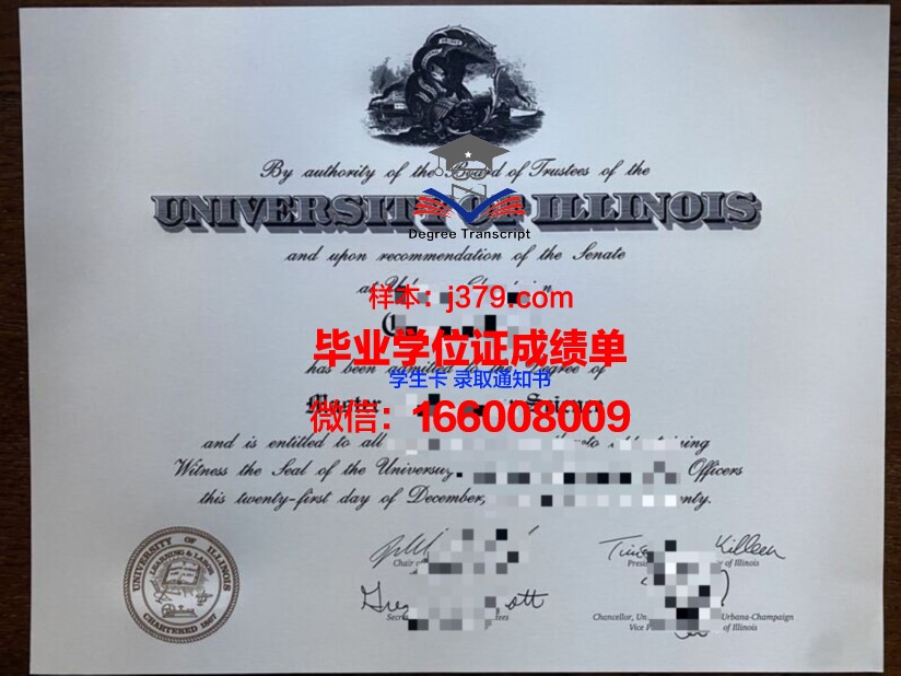南佛洲硕士证书：项目特色与优势对比分析