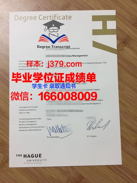 海牙艺术大学学位证书(海艺音乐学院)