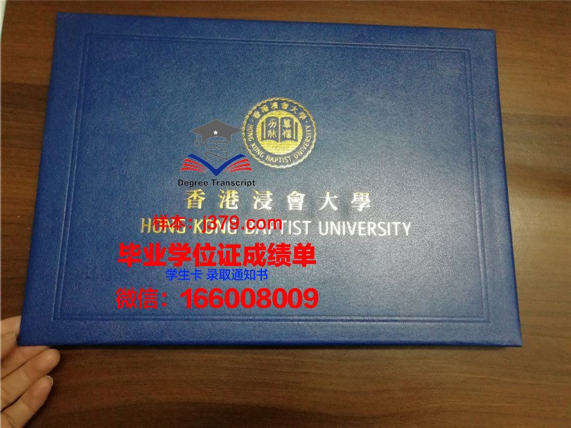 朱大毕业证壳子