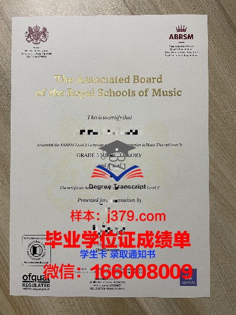 第斯大毕业证书风貌展示