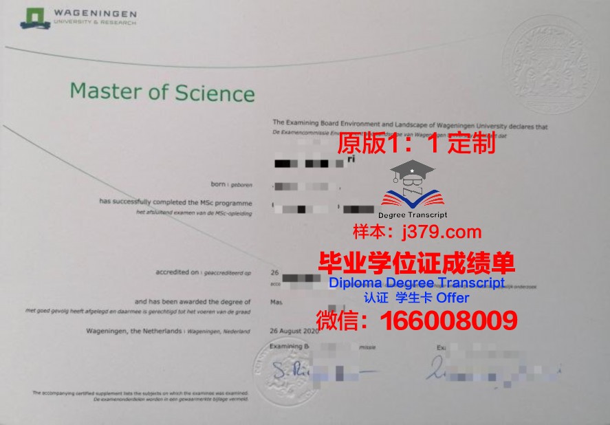 比大毕业证：如何提升求职竞争力