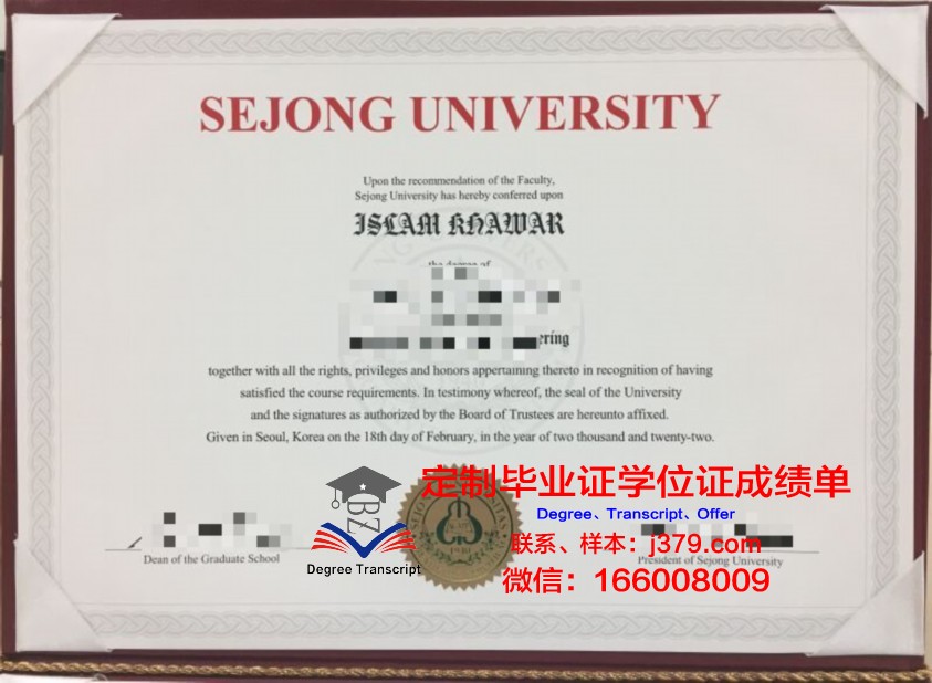 世宗毕业证图片：展示你的学术成就