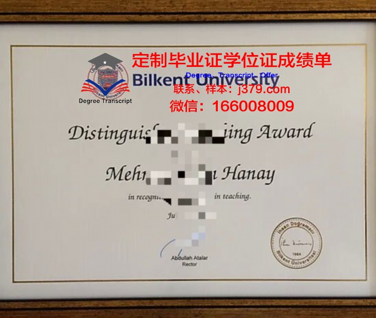 阿利坎特大学毕业证Diploma文凭成绩单
