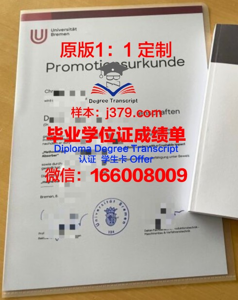 博士成长记：技术大学博士证书背后的故事