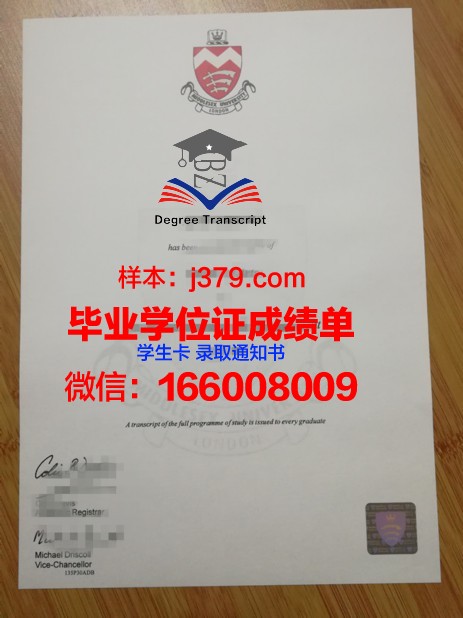 萨斯毕业证书壳子：专业定制，彰显独特风格