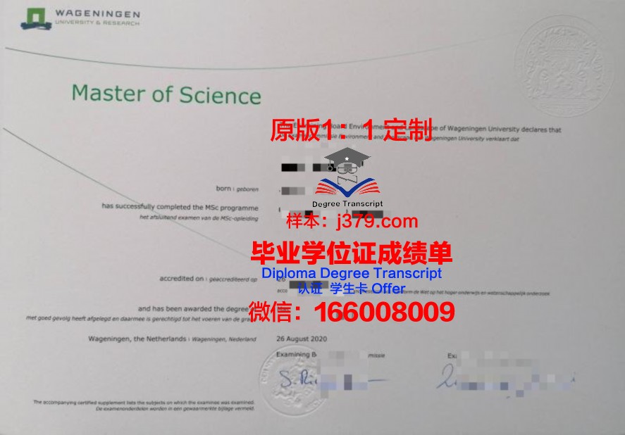 甘教本科毕业证