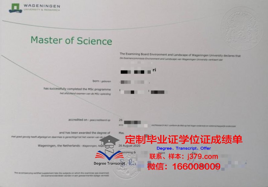 国立大学毕业证补办：所需材料与步骤详解