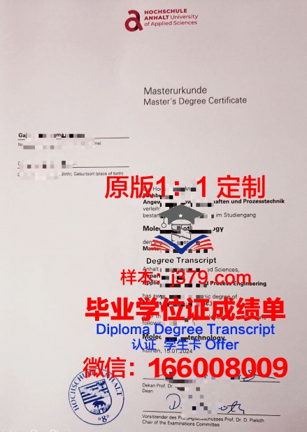宾根应用技术大学硕士毕业证书