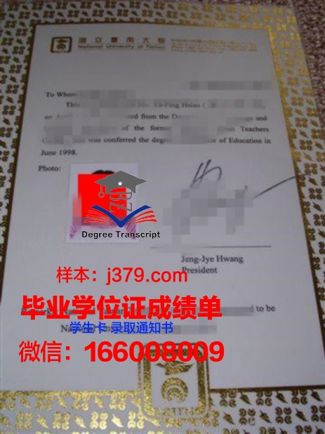 群大本科证书：专业课程设置与特色介绍