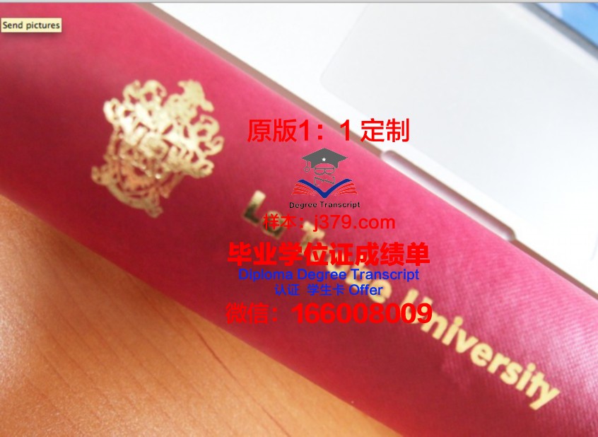 澳大硕士证书含金量解析：就业前景分析
