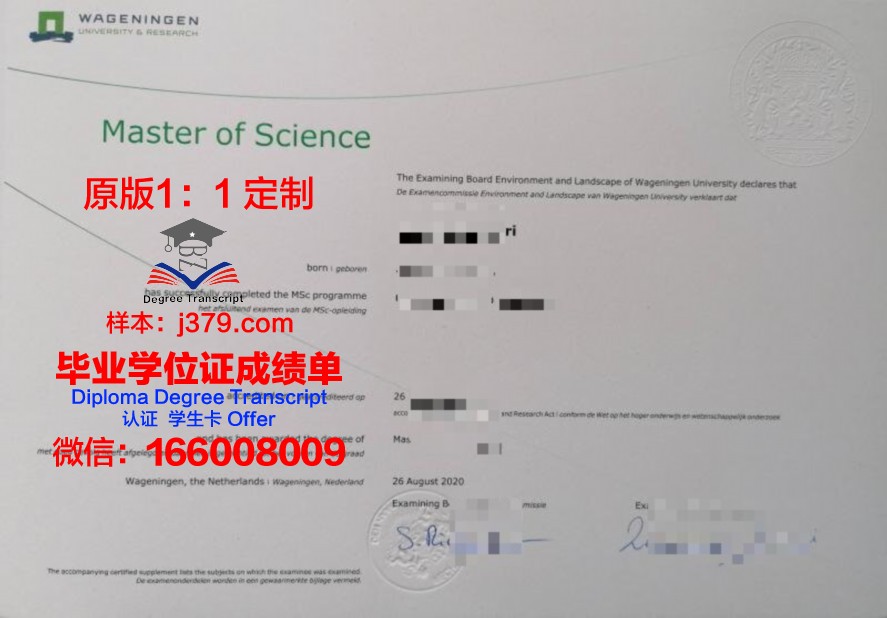 韩外大语学院毕业证电子版