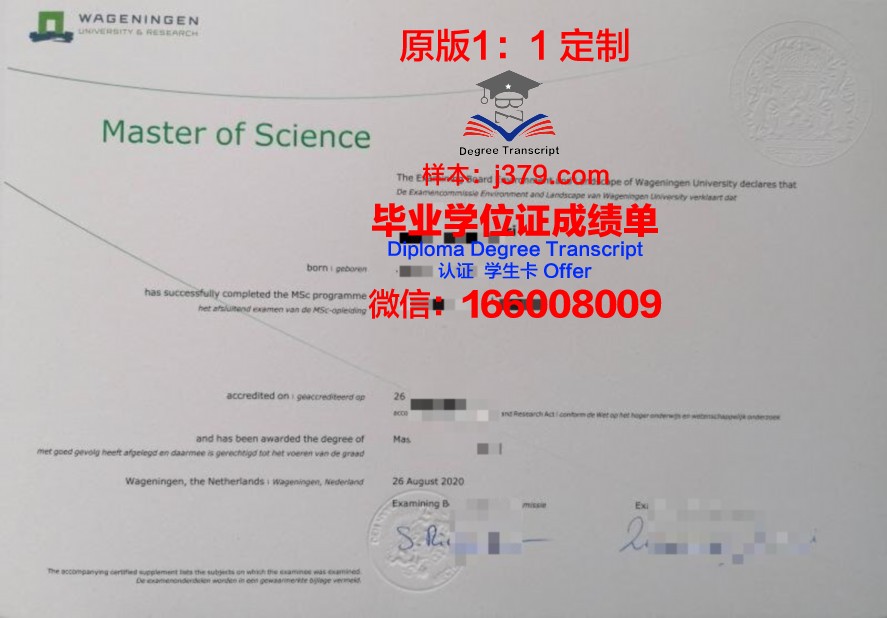 埃博大学毕业证丢失，补办流程详解