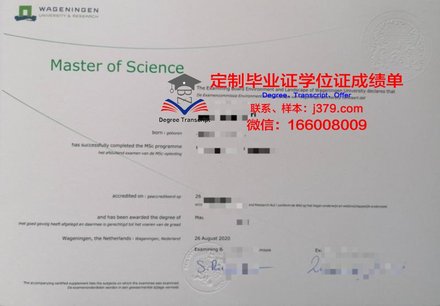 文科大毕业证补办：常见问题解答