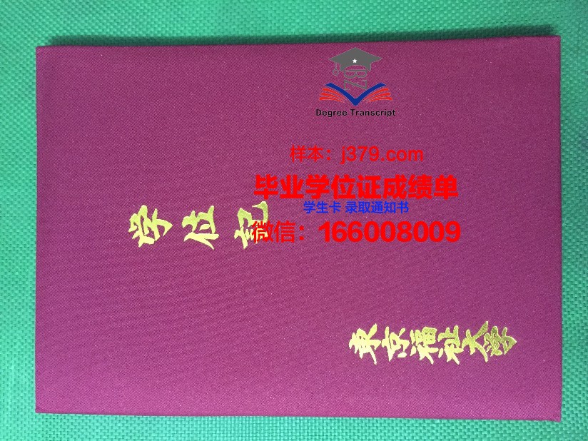东京大毕业证补办：一站式服务攻略