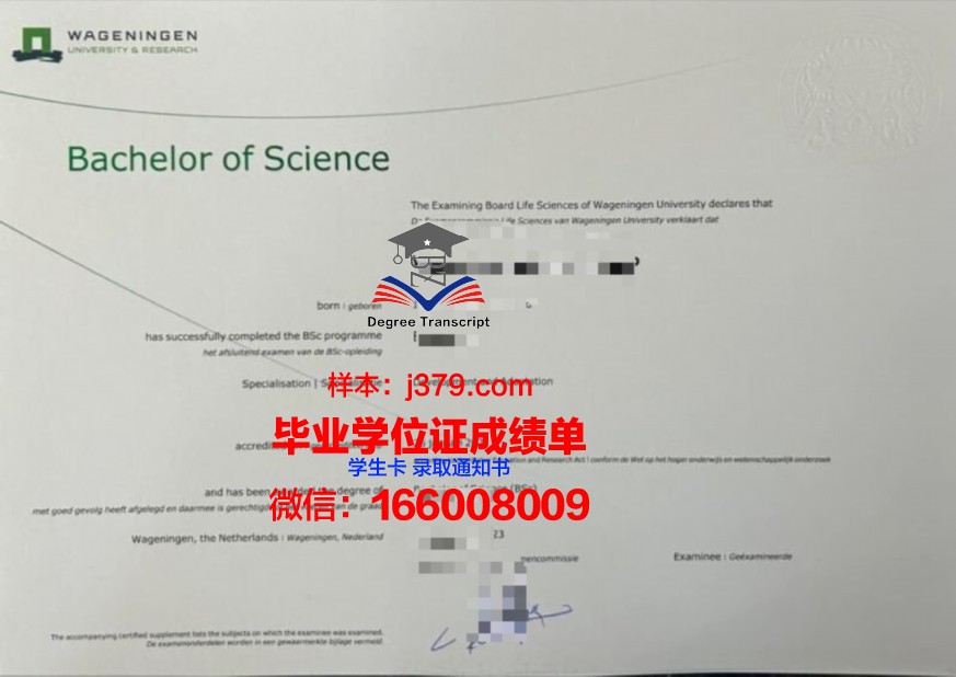 安大学本科证书所涵盖的专业领域