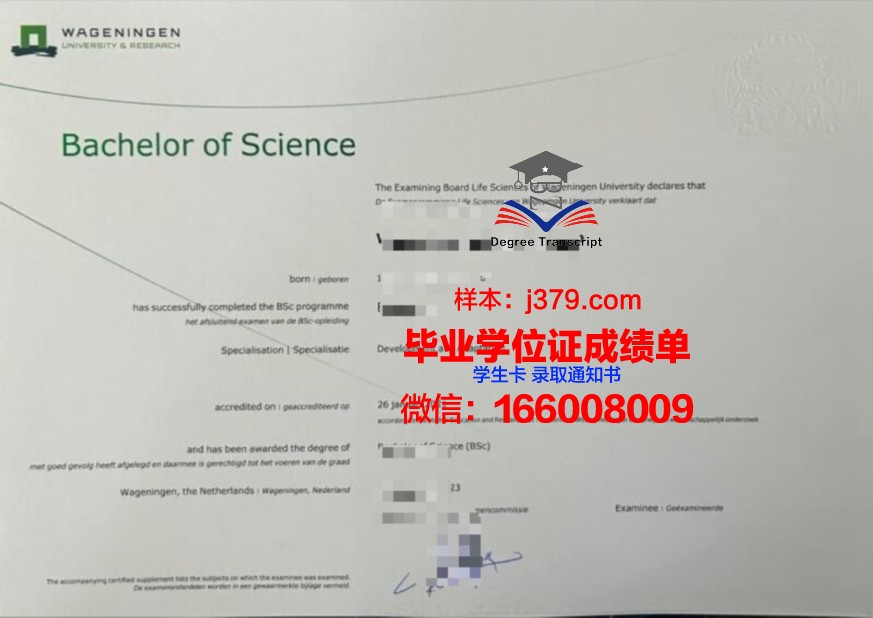 自大本科证书：对个人成长的影响评估