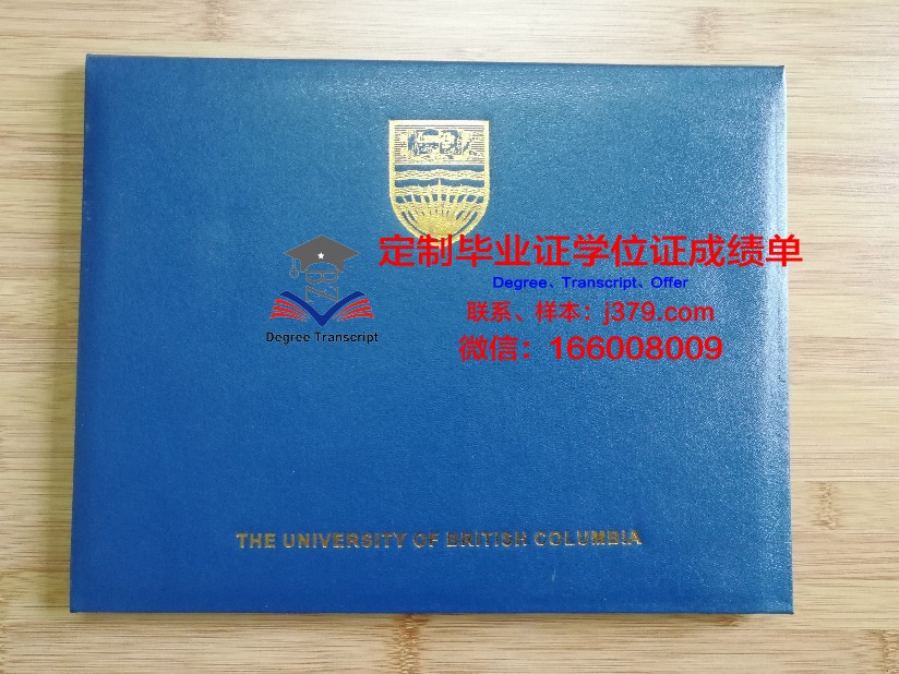 罗涅大毕业证壳子：见证青春的珍贵回忆