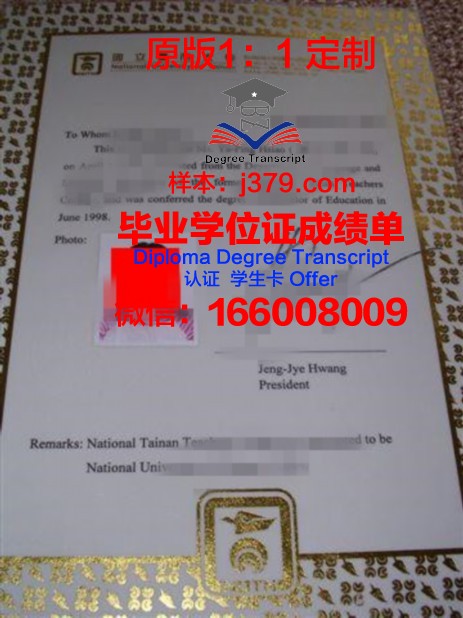 汉学院本科证书：成就汉语教育领域的专业人才