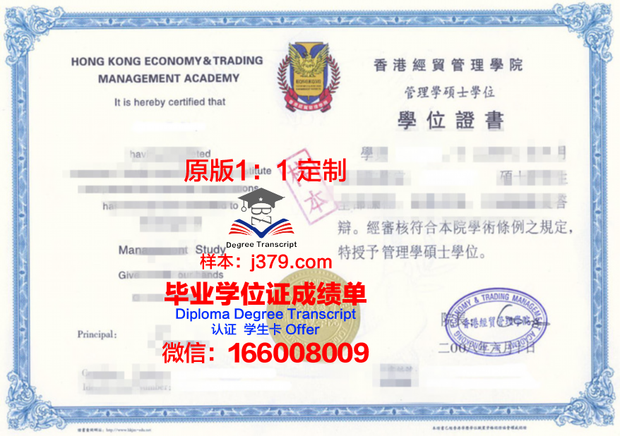 米卡大Diploma证书：考试难度与评分标准解析