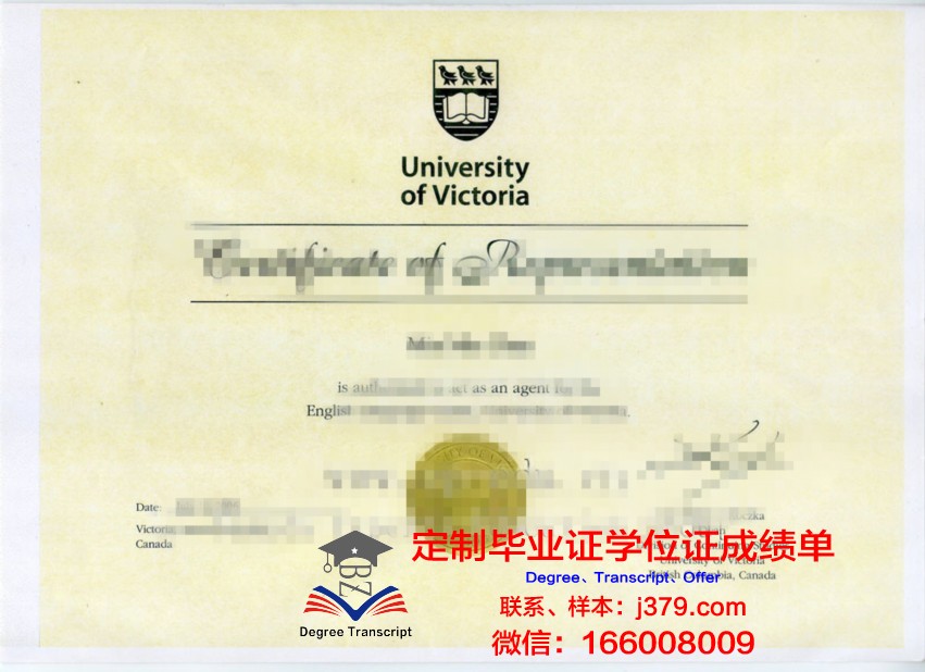 开大毕业证书样本高清展示