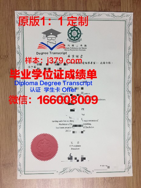 如何高效整理同济毕业证与成绩单档案