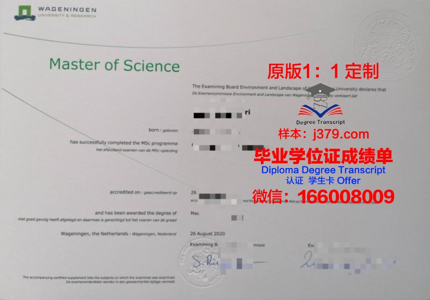 公园校区毕业证图片：真实案例分享