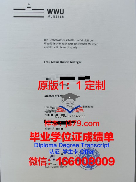 明斯特毕业证书电子版：常见问题解答