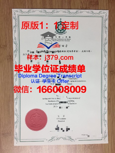 南阿理工博士毕业证：求职竞争力分析