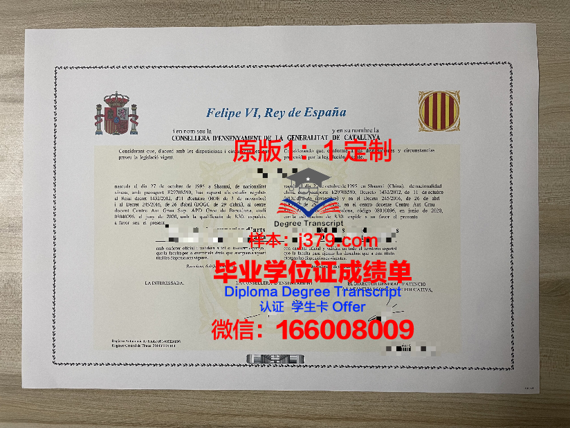 巴塞罗那大本科证书：专业选择与未来发展