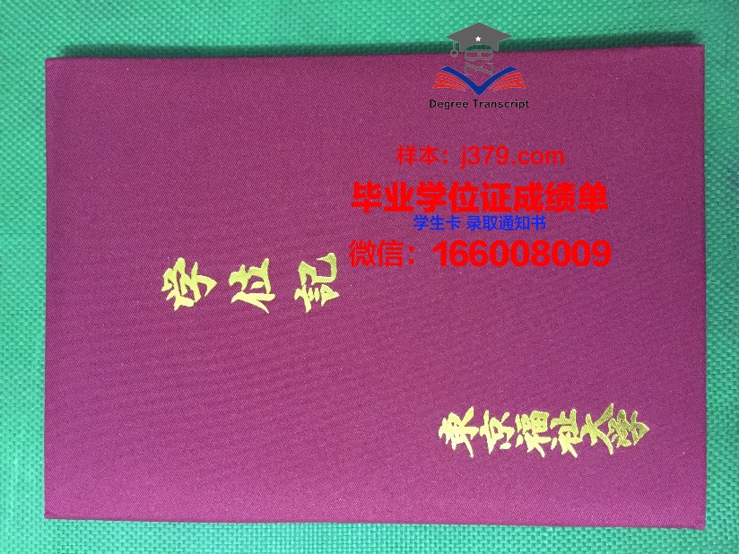 东京医科齿科大学：毕业证补办流程详解