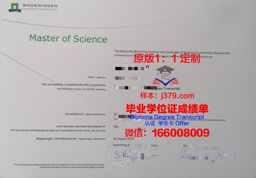 德塞尔毕业证实用指南：毕业典礼与纪念品