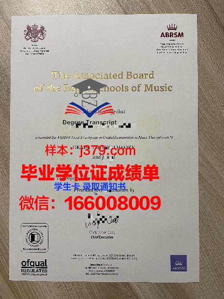 阪市大博士证书对我国人才发展的意义