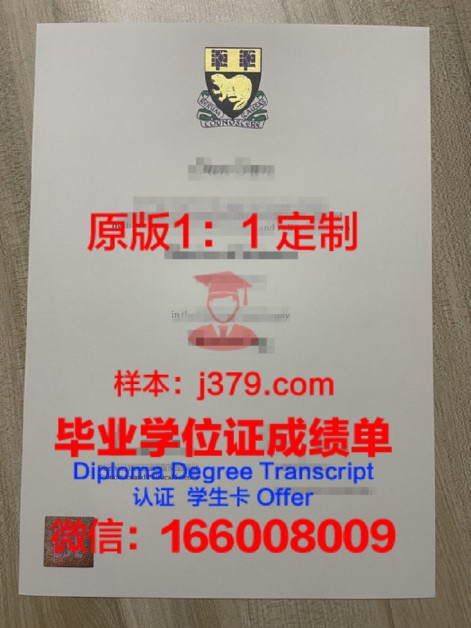 伦敦南岸大学成绩单查询(伦敦南岸大学排名)