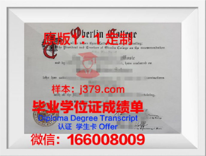 柏林工业大学毕业证图片Berlin Institute of Technology Diploma