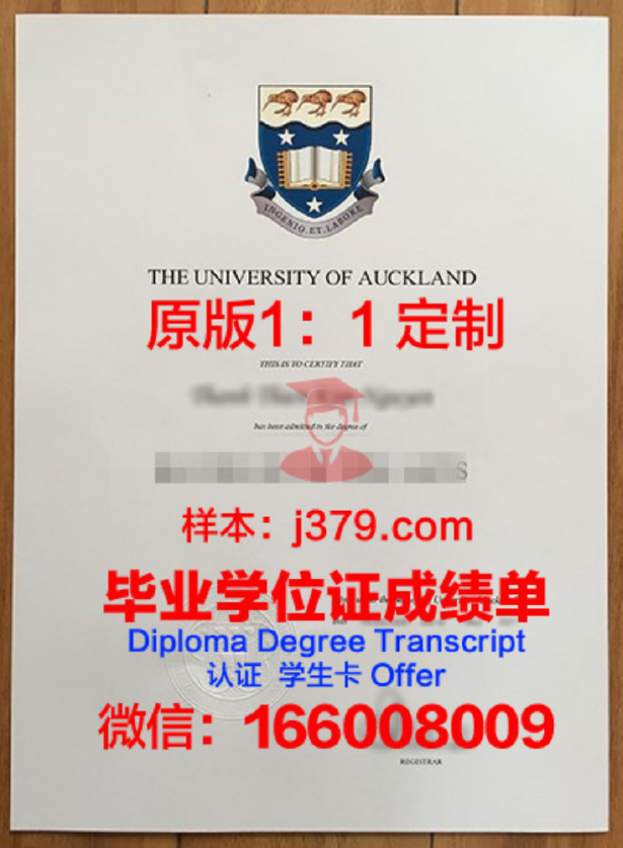 奥克兰媒体设计学院毕业证认证成绩单Diploma