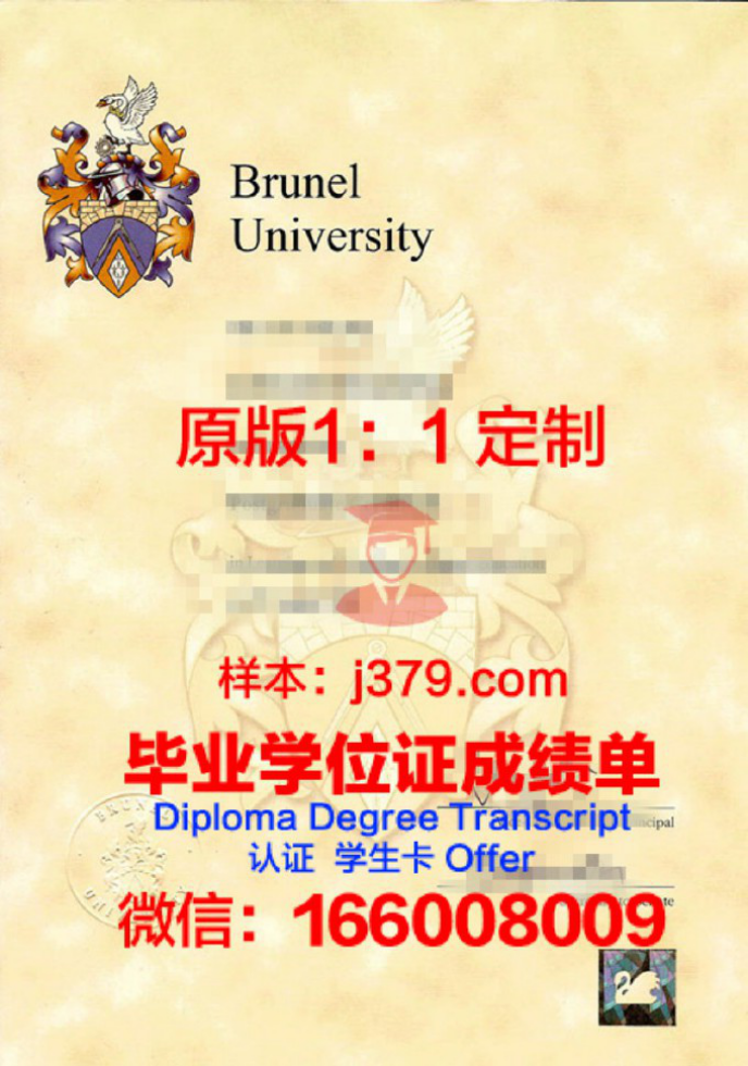 A+布鲁克山中学毕业证Diploma文凭