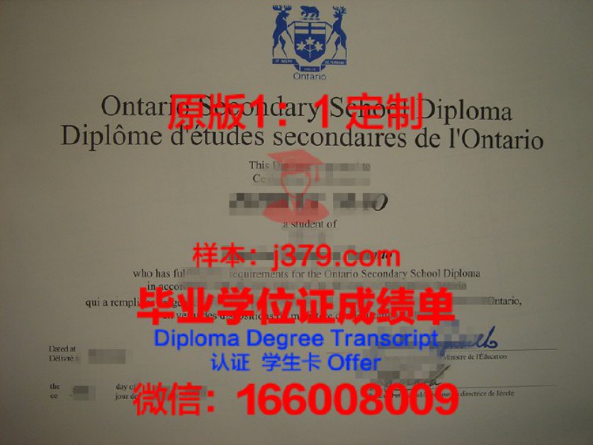 喀山创新大学diploma证书