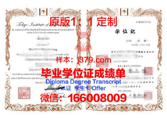 TIJ东京日本语研修所毕业证认证成绩单Diploma