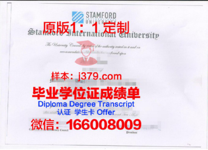 斯坦福学院录取通知书 OFFER 定制：开启名校之门的黄金钥匙